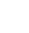 Bro’s Venezuela